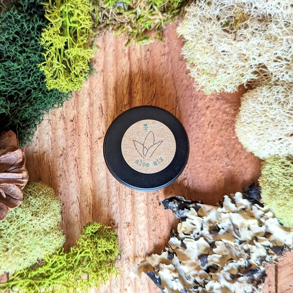 Aloe Mix Seeds, view 4