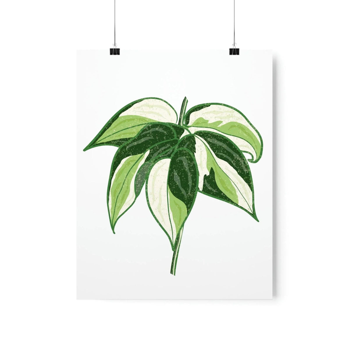 Philodendron Cream Splash Botanical Print – Unframed Wall Art, view 9