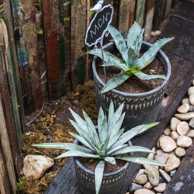 Black Pottery Cement Planter, view 5