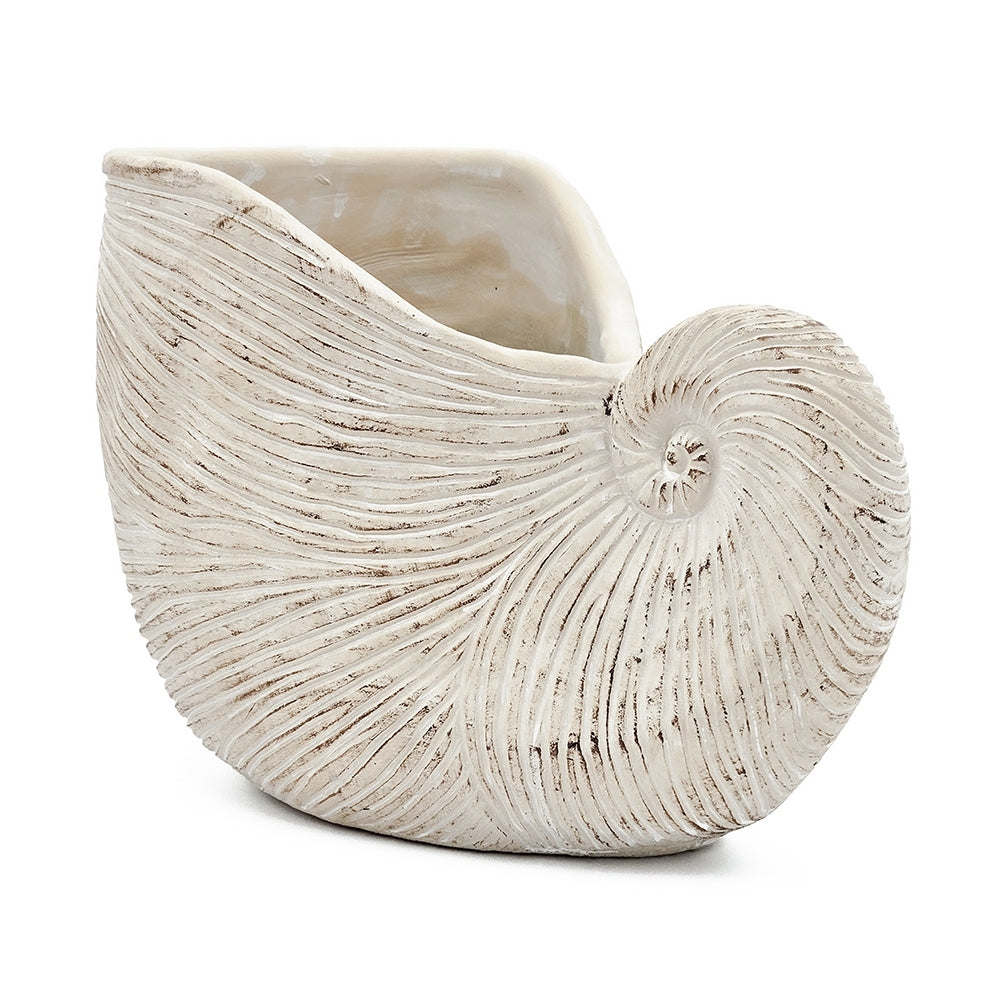 11.5x6.7x7.7" Sand and Cement Nautilus Shell Planter with Textured Beige Finish, view 3