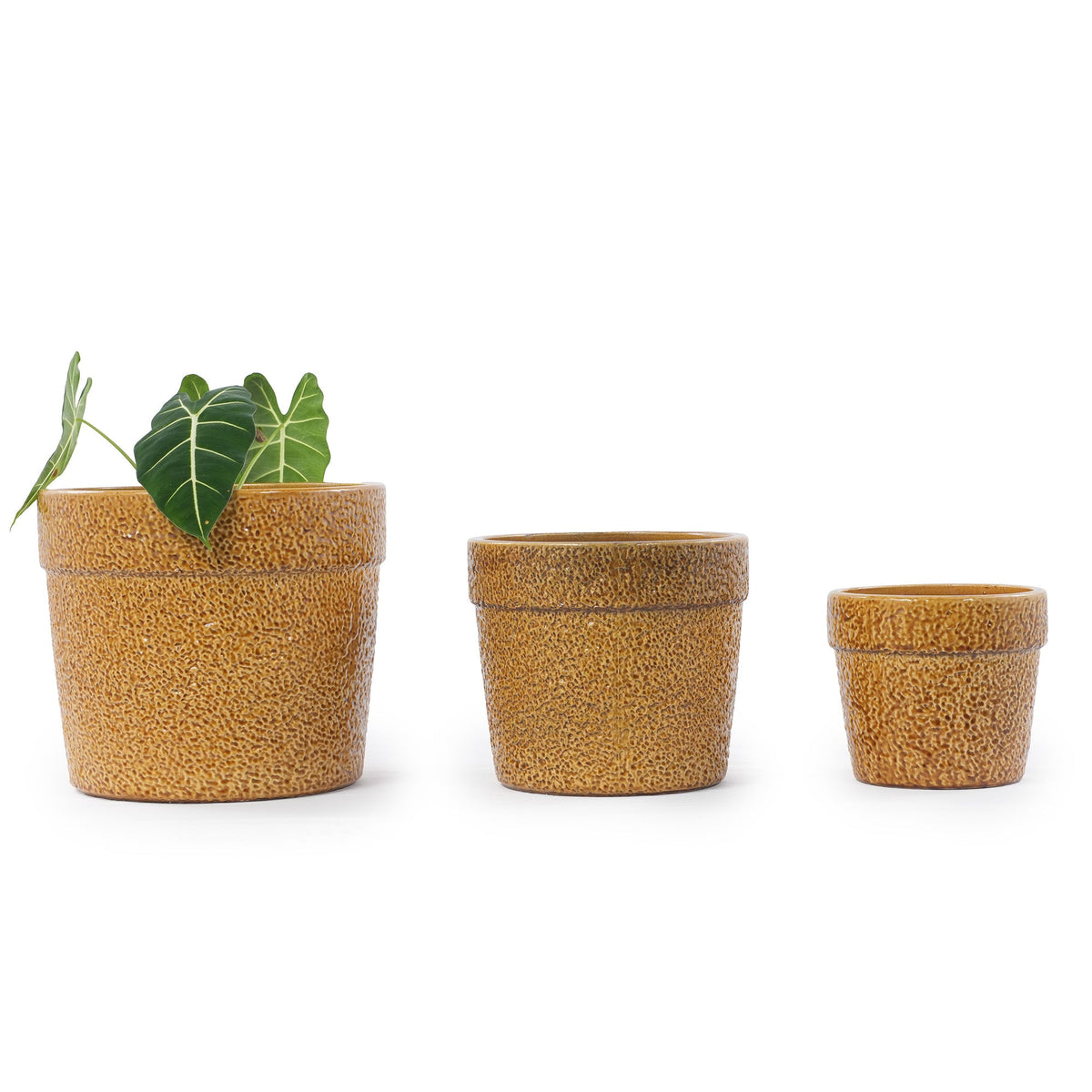 Handmade Ceramic Planter Set of 3, view 3