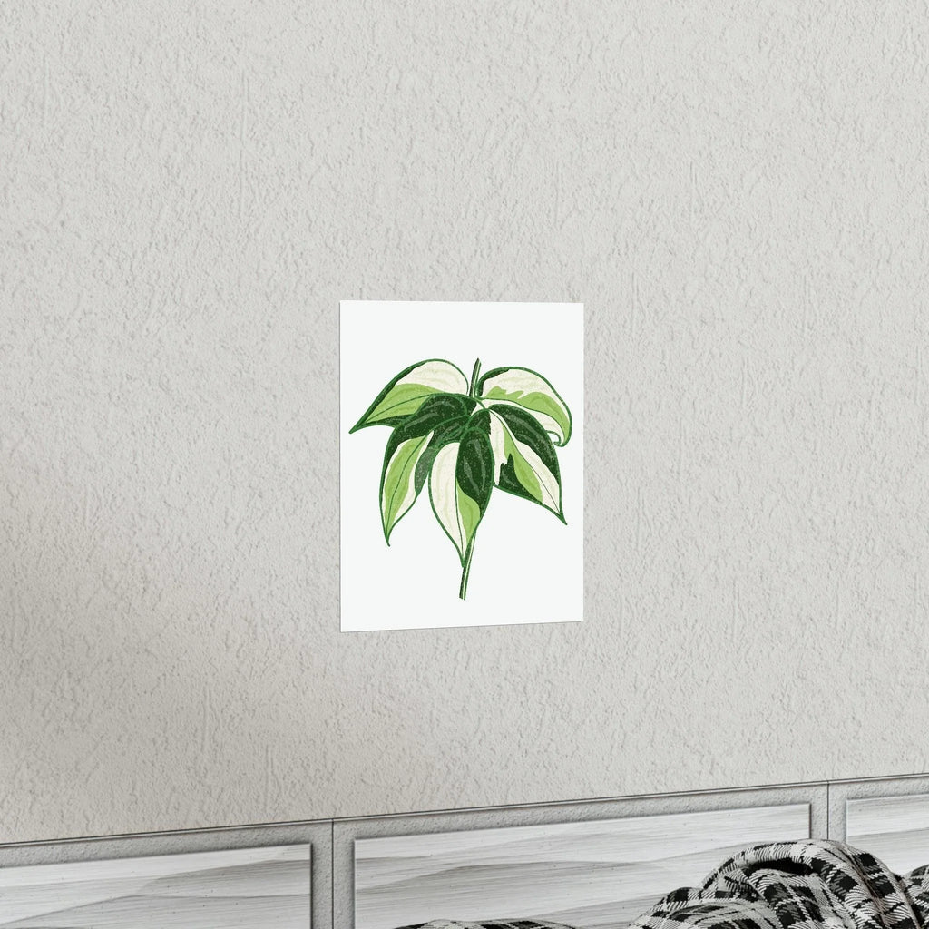 Philodendron Cream Splash Botanical Print – Unframed Wall Art, view 6