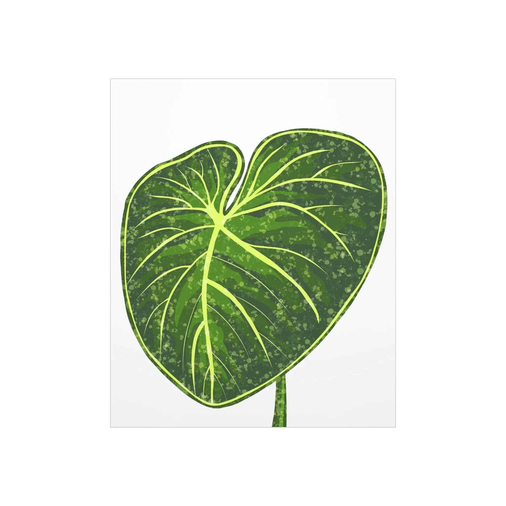 Philodendron Gloriosum Botanical Print – Unframed Wall Art, view 10
