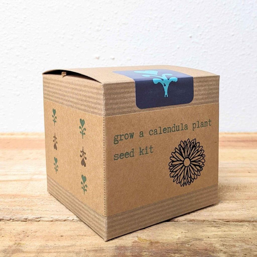 Calendula Beginner Grow Kit, view 5