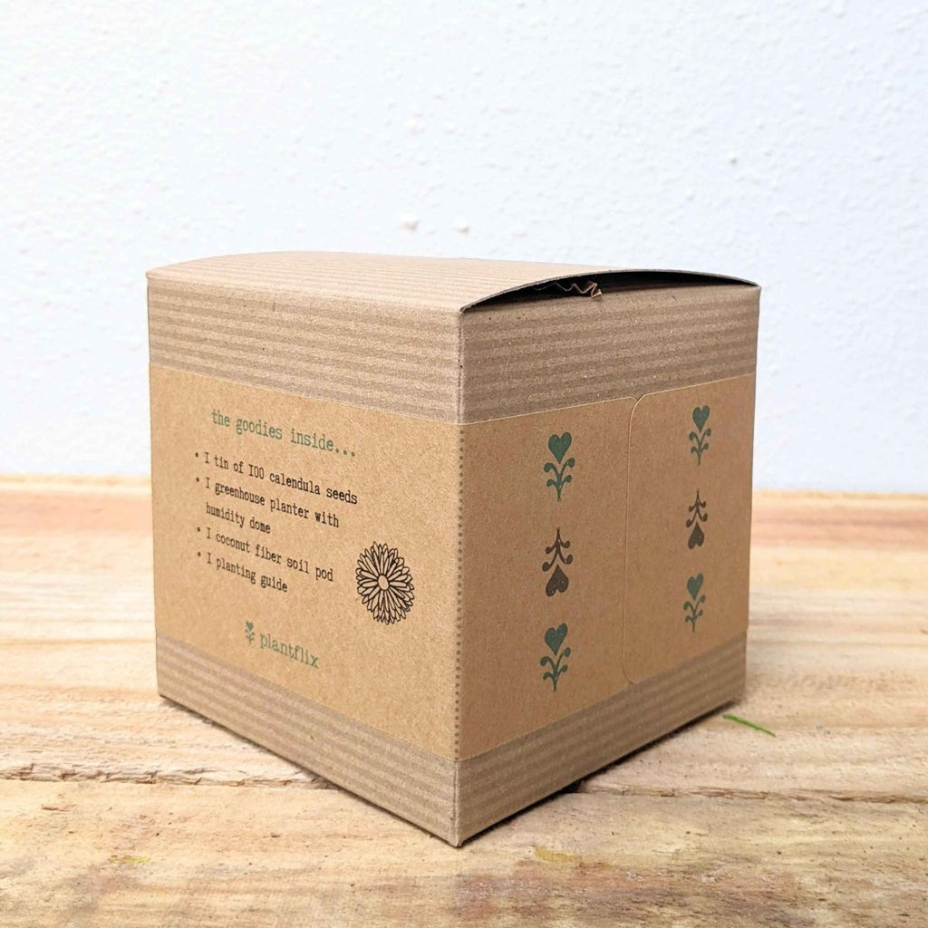 Calendula Beginner Grow Kit, view 6