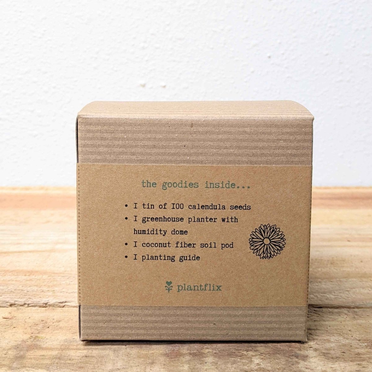 Calendula Beginner Grow Kit, view 7