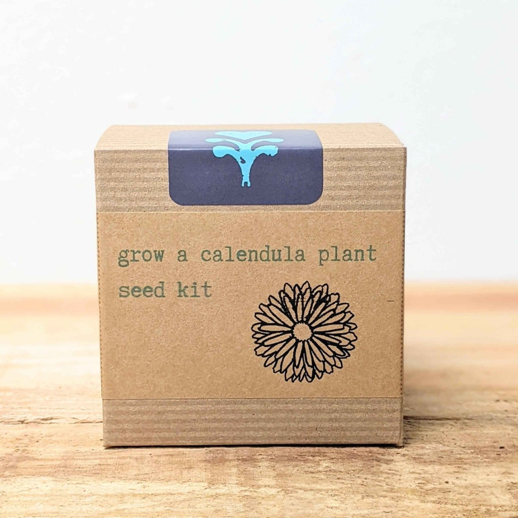 Calendula Beginner Grow Kit, view 4