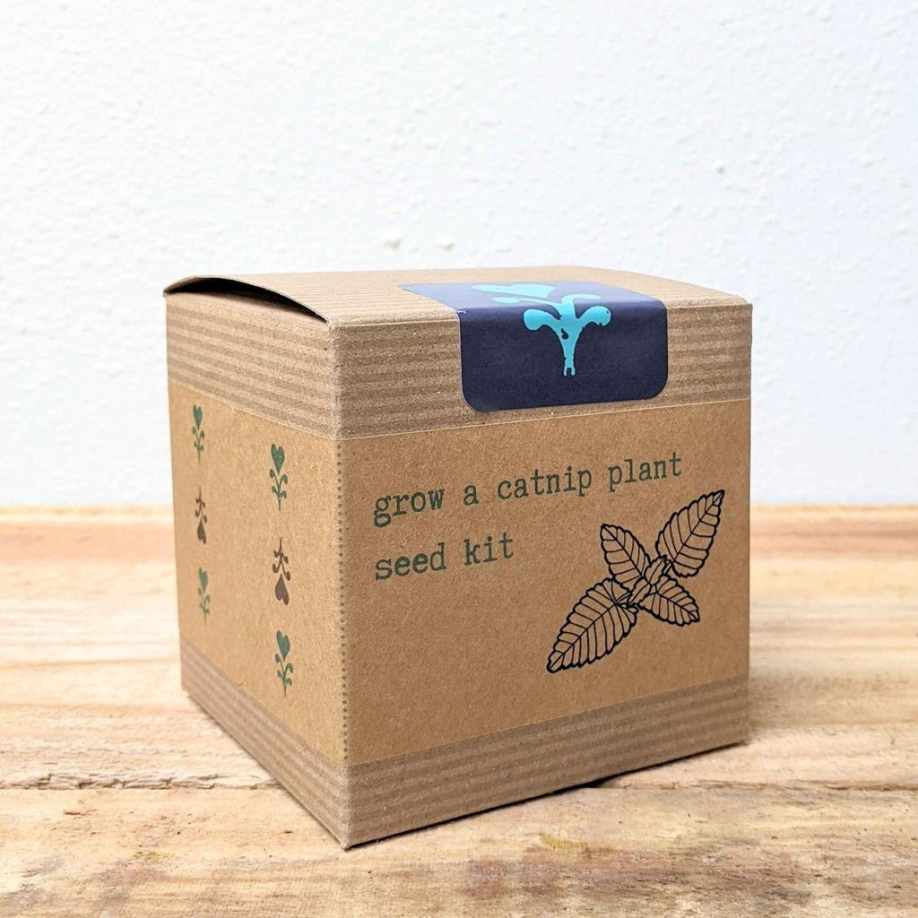 Catnip Beginner Grow Kit, view 5