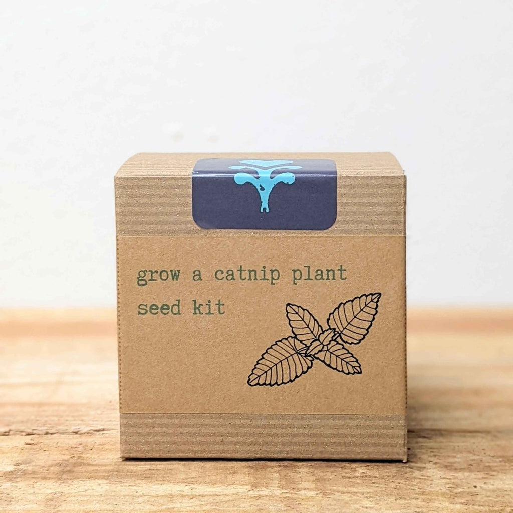 Catnip Beginner Grow Kit, view 2