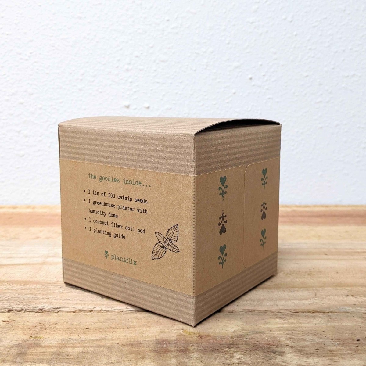 Catnip Beginner Grow Kit, view 3