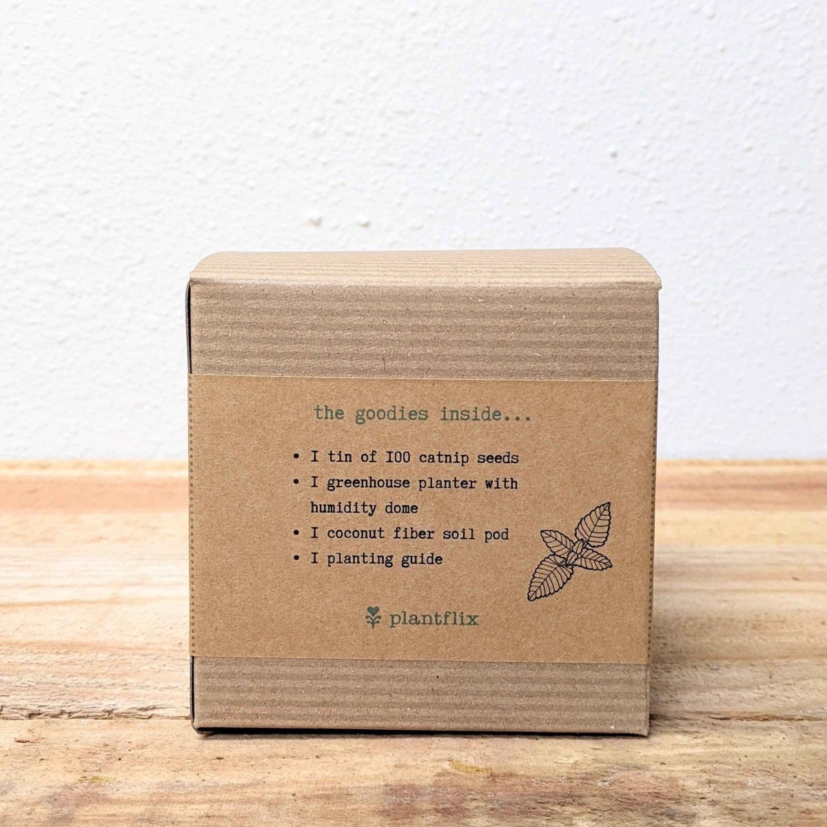 Catnip Beginner Grow Kit, view 4