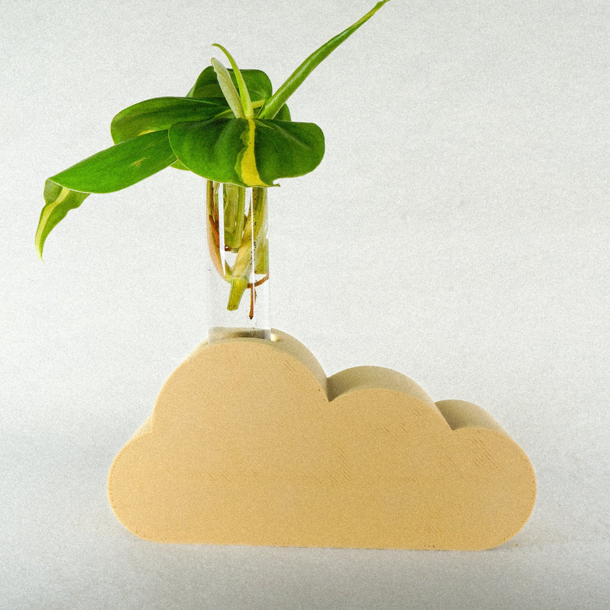 Cloud Propagation, view 11