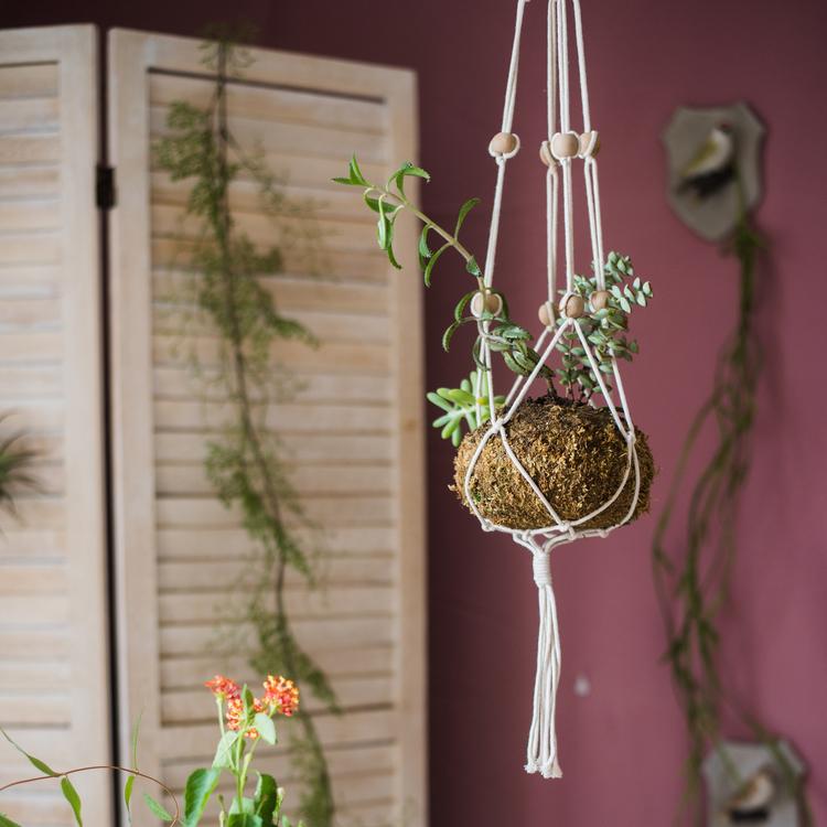Cotton Hemp Rope Planter Hanger, view 6