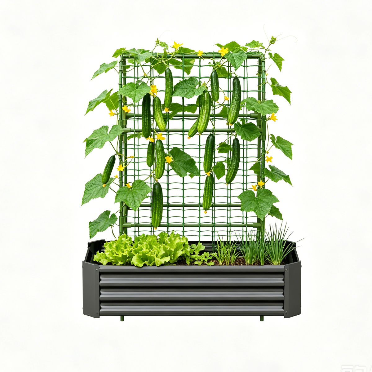 2-in-1 Raised Garden Bed with Trellis - 4x2x1 Ft Outdoor Planter, view 8