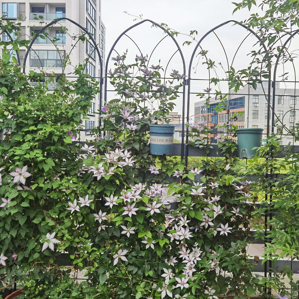 2 Pack Metal Garden Trellis 78.7" x 19.7", view 3