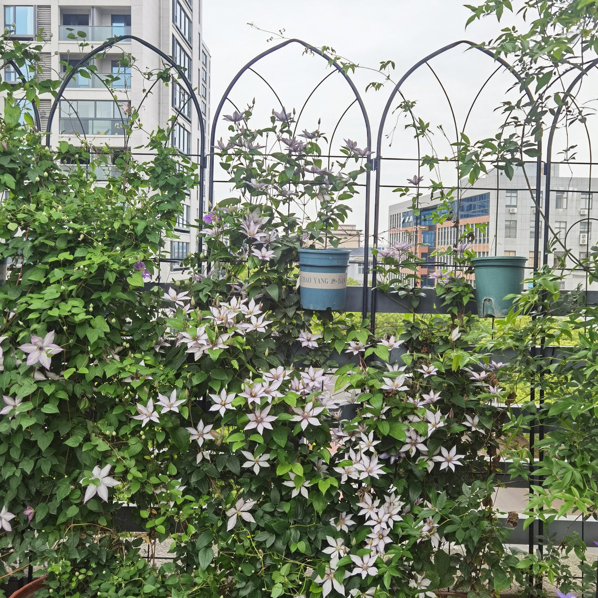 4 Pack Rustproof Iron Garden Trellis Panels