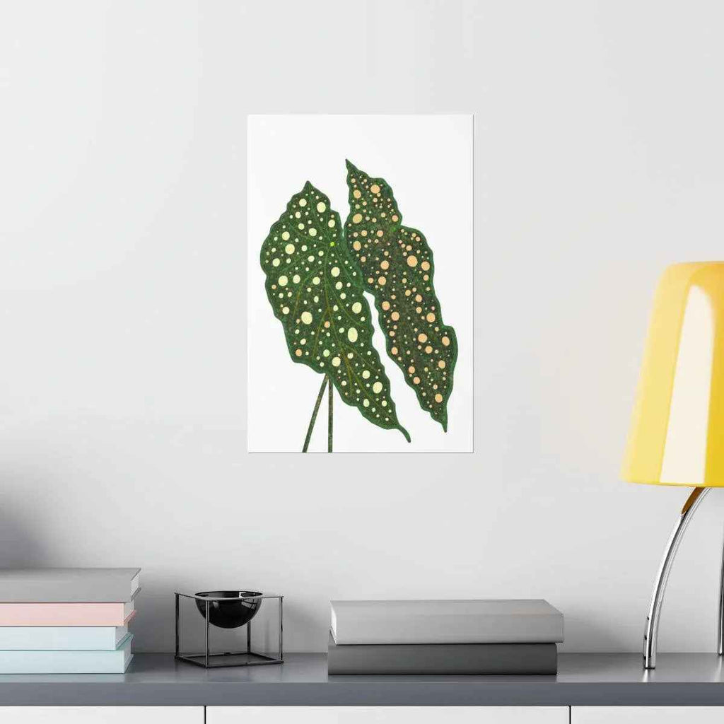 Begonia Maculata Botanical Print – Unframed Wall Art, view 8