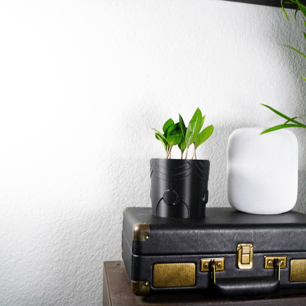 Deep Space Planter, view 12