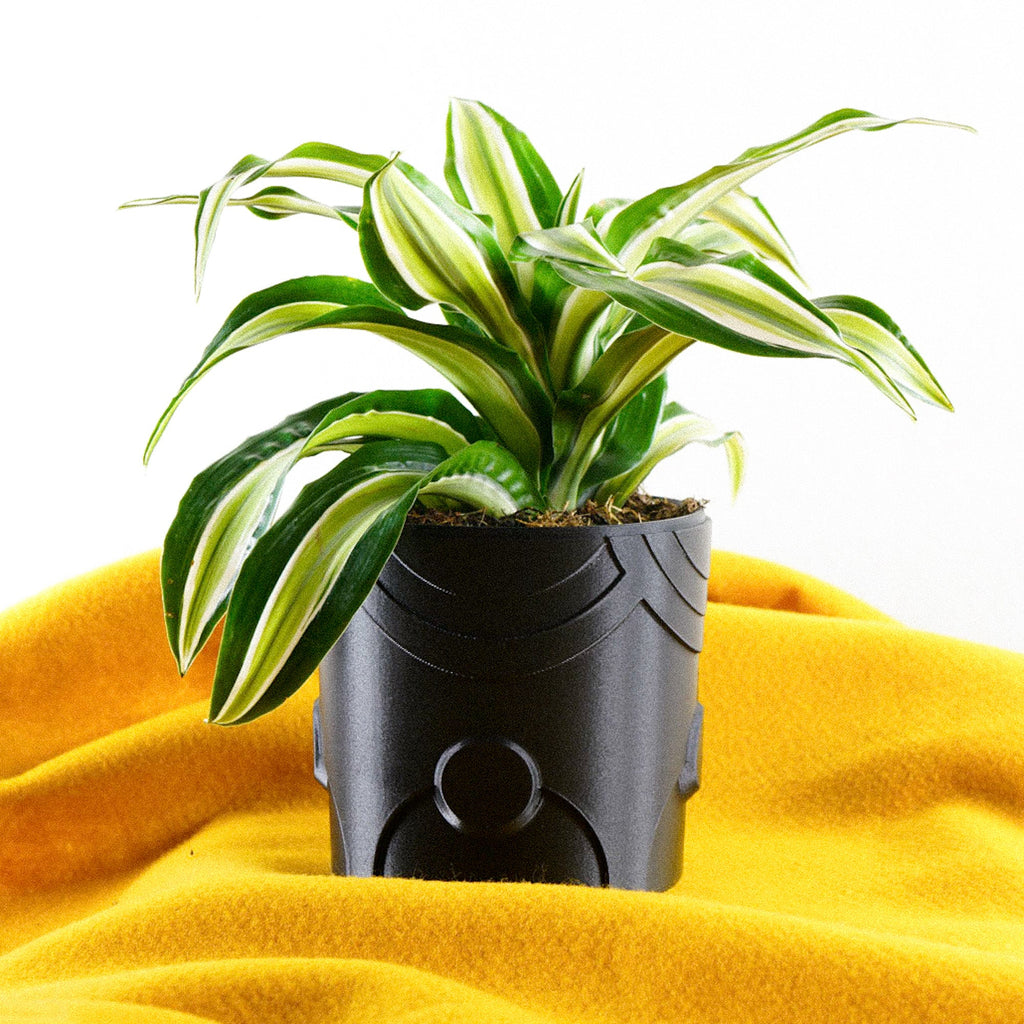 Deep Space Planter, view 13