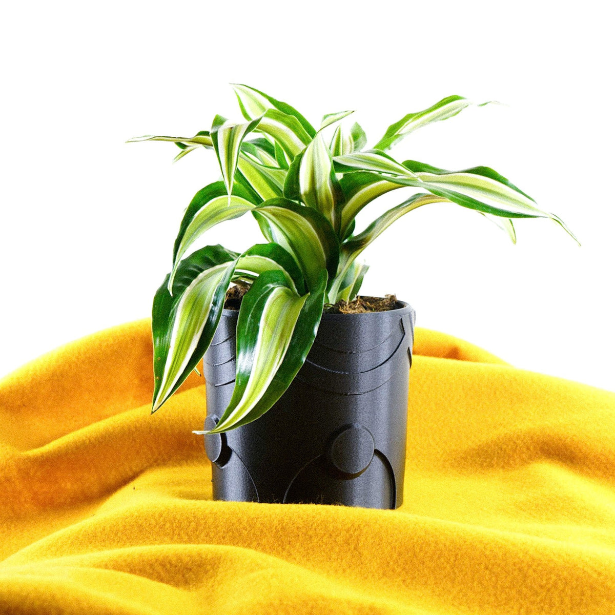 Deep Space Planter, view 14