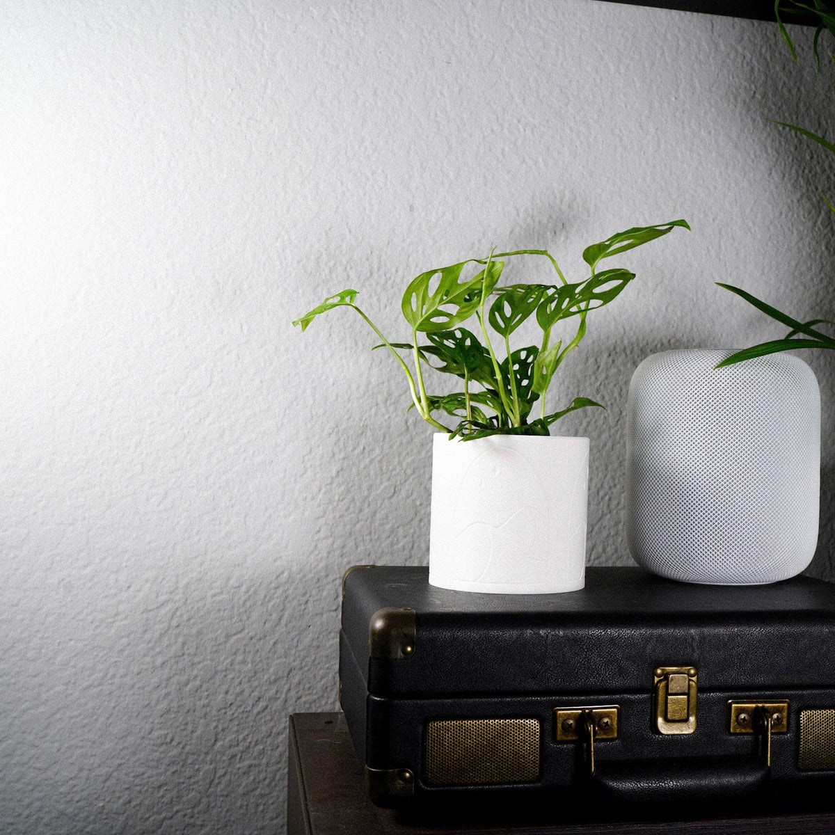 Desert Scape Planter, view 8