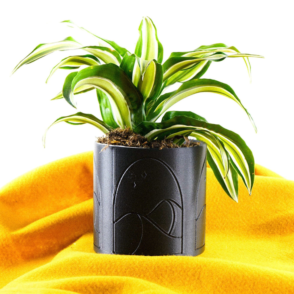 Desert Scape Planter, view 9