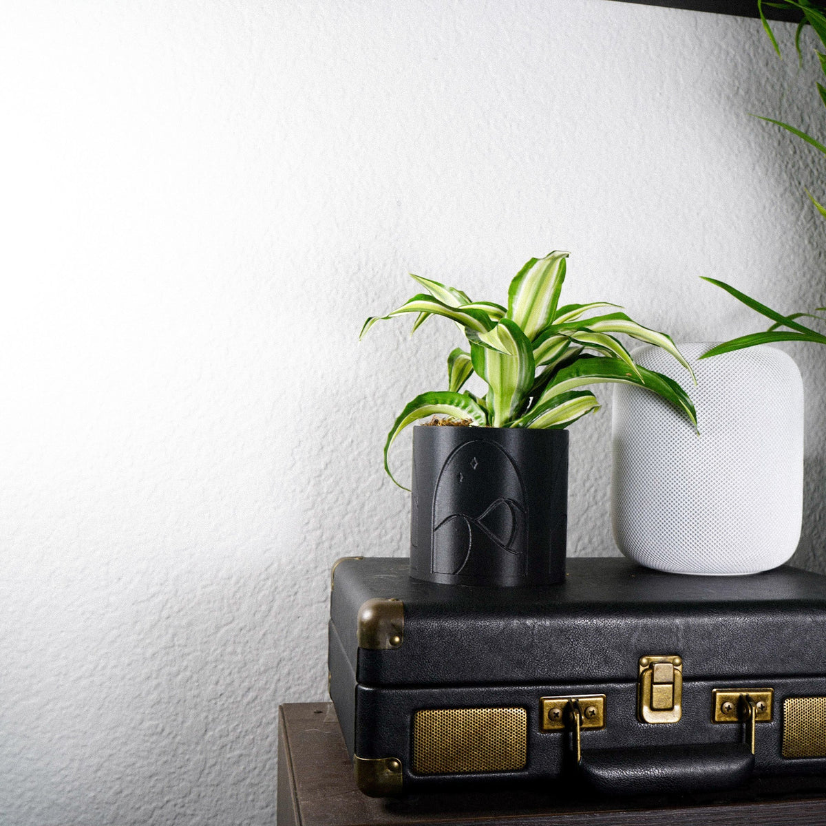 Desert Scape Planter, view 4