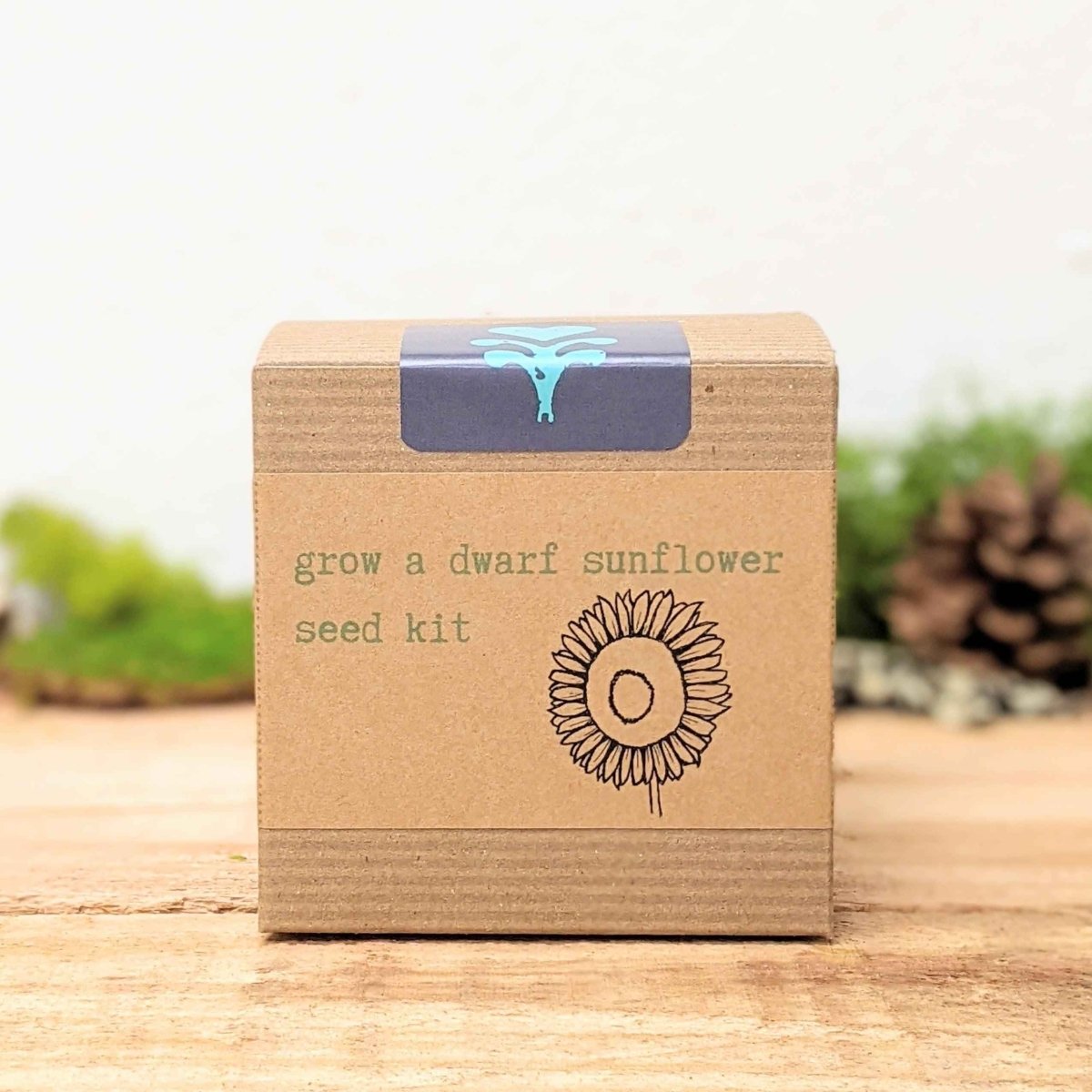 Dwarf Sunflower Beginner Grow Kit, view 6