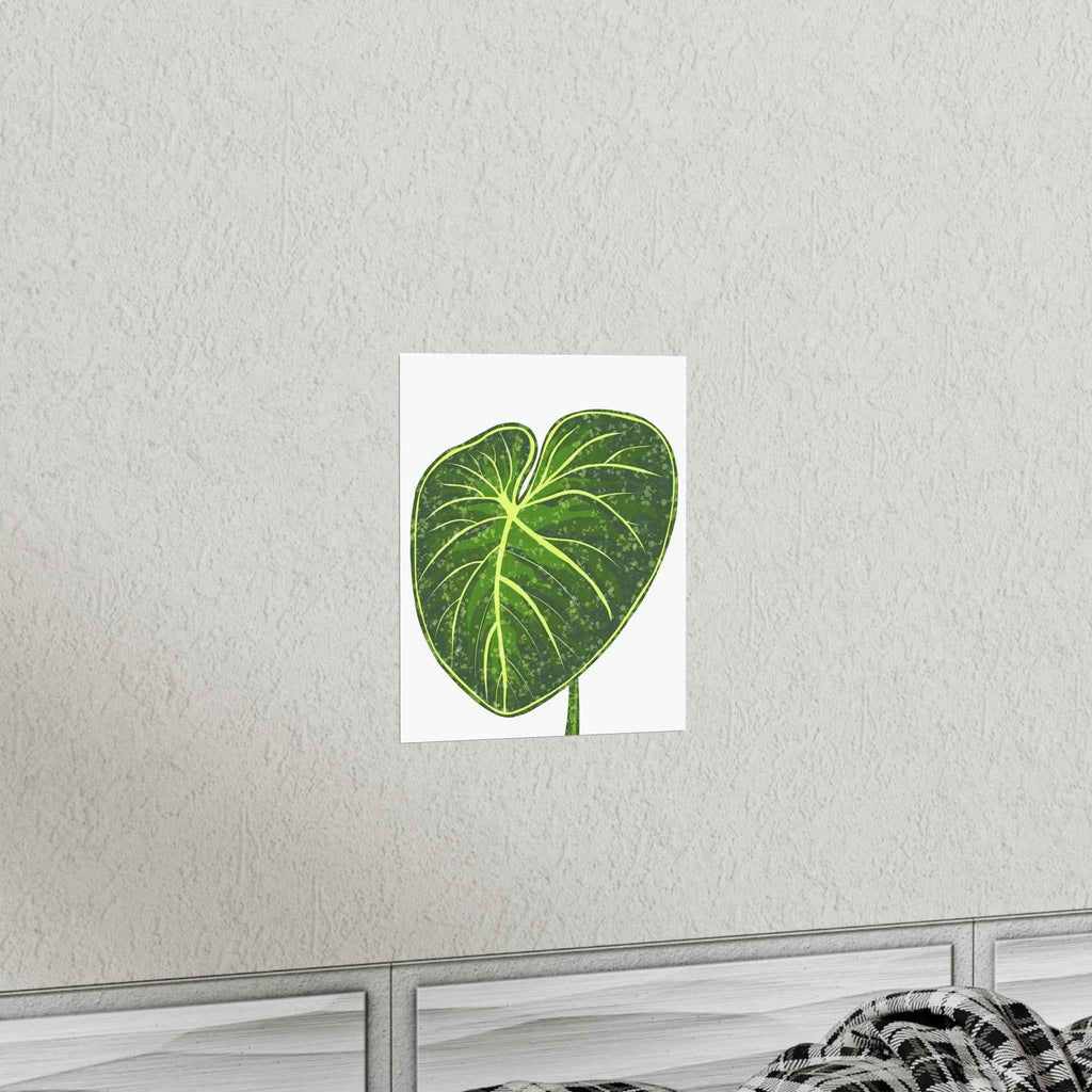 Philodendron Gloriosum Botanical Print – Unframed Wall Art, view 14