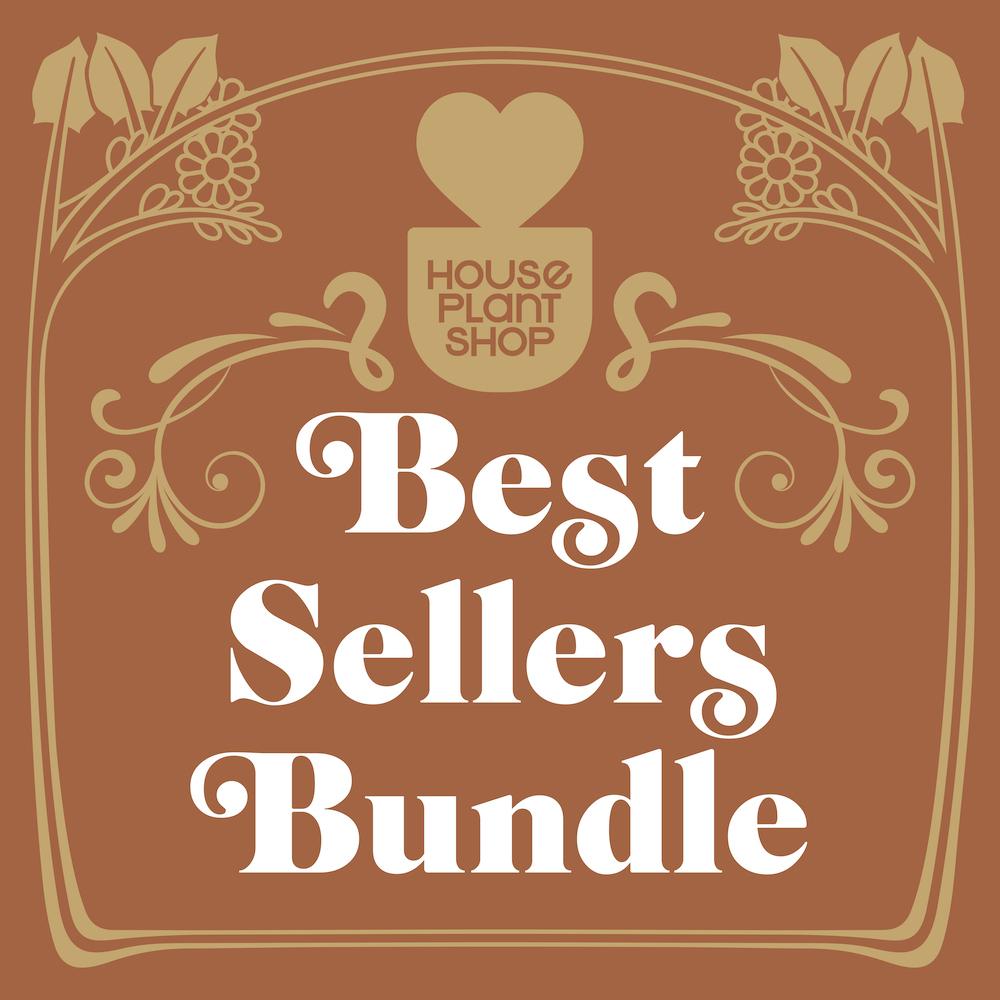 Best Selling Bundle, view 2