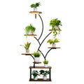 62" arched 8-tier lighted plant shelf