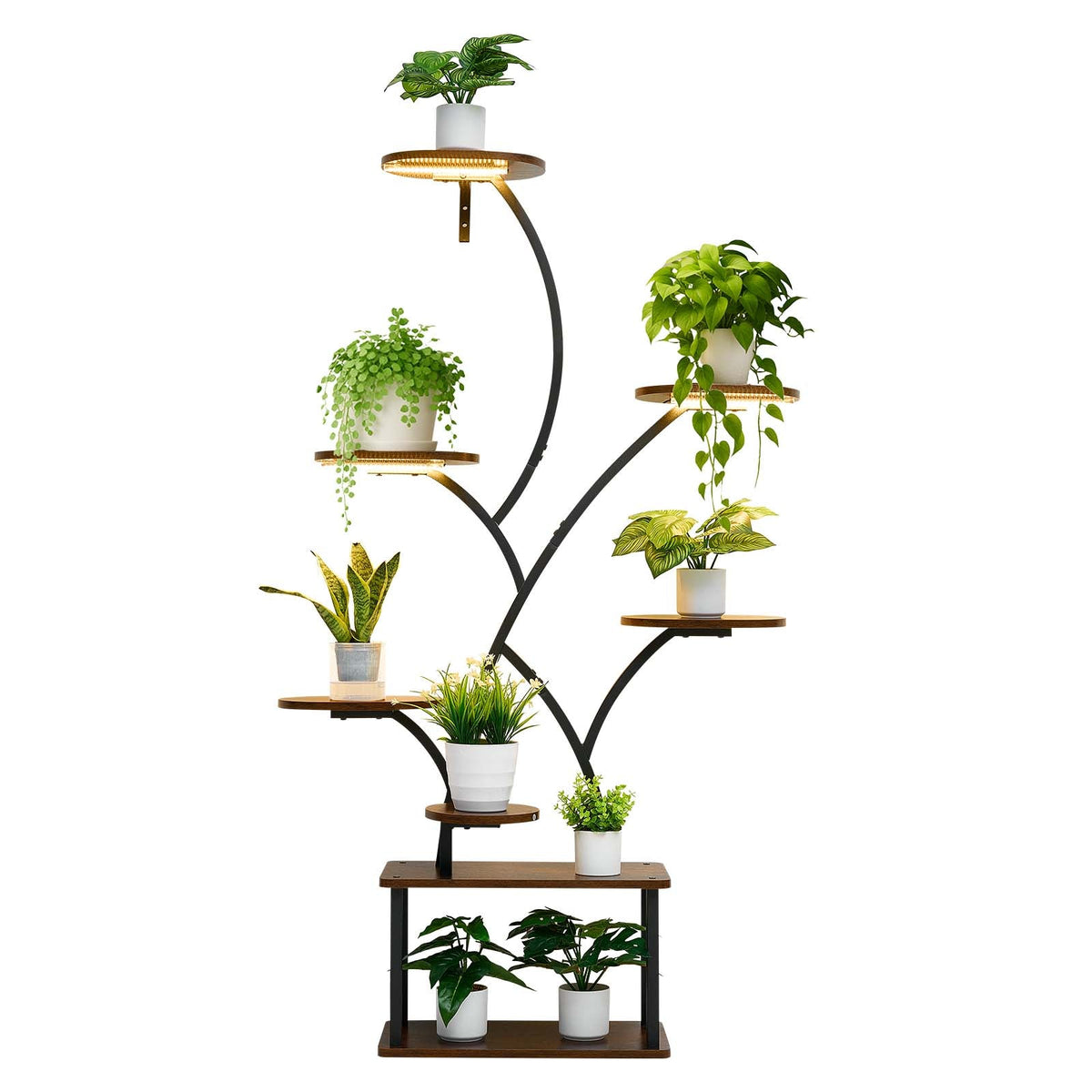 62" arched 8-tier lighted plant shelf