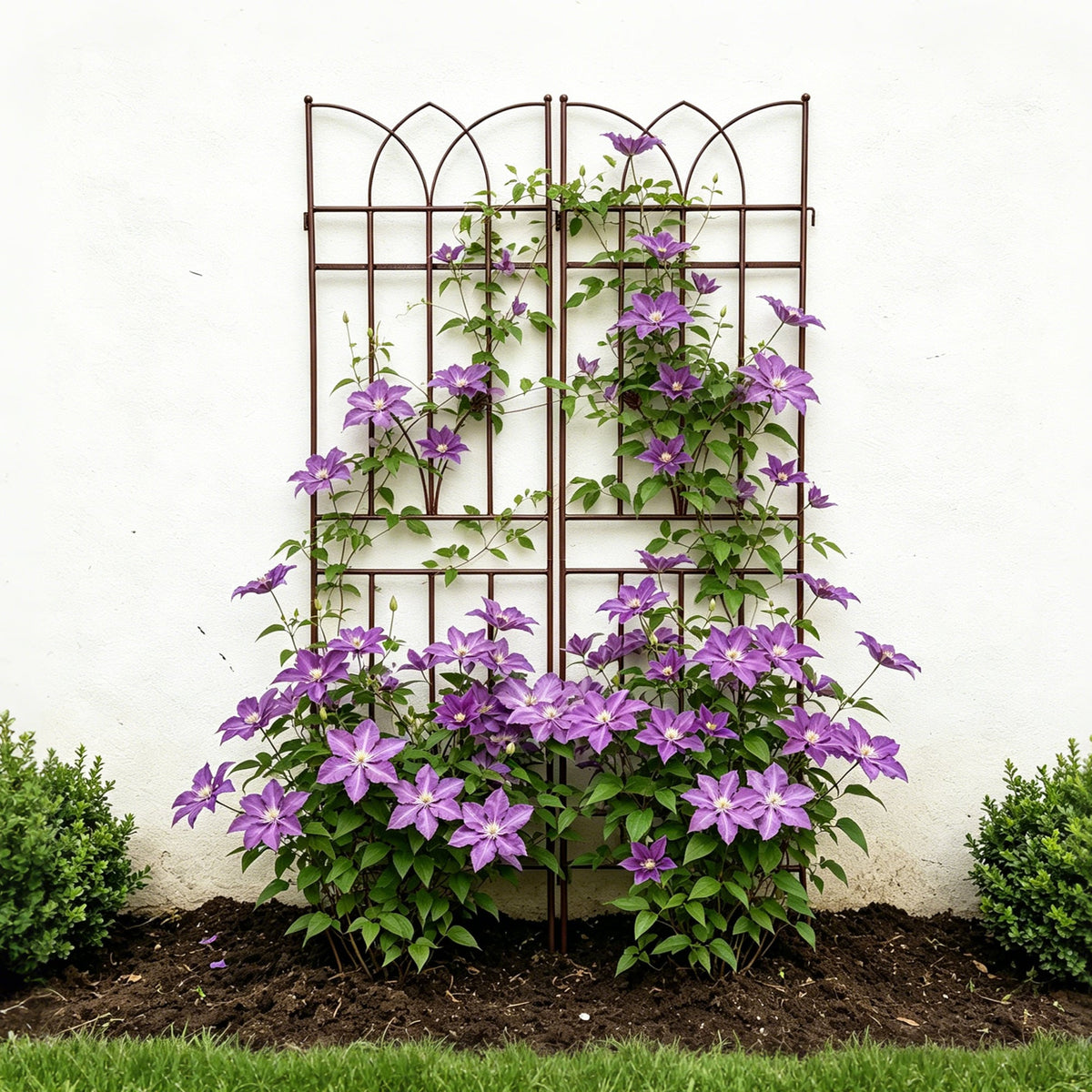 2 Pack Metal Garden Trellis – Brown or Black