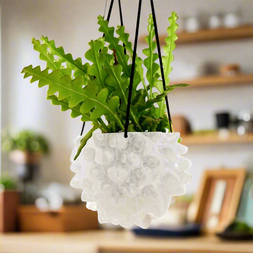 The Creature Orb Hanging Planter Pot With Drainage, view 10