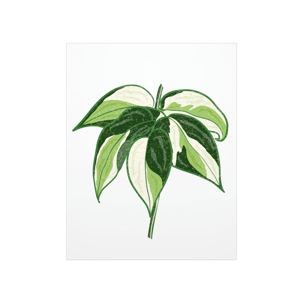 Philodendron Cream Splash Botanical Print – Unframed Wall Art, view 10