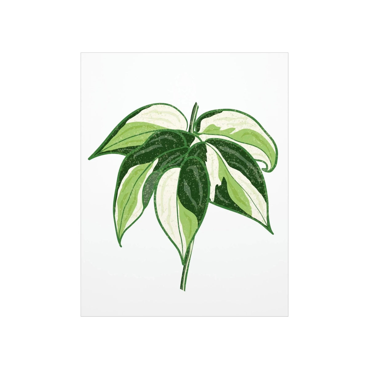 Philodendron Cream Splash Botanical Print – Unframed Wall Art, view 10