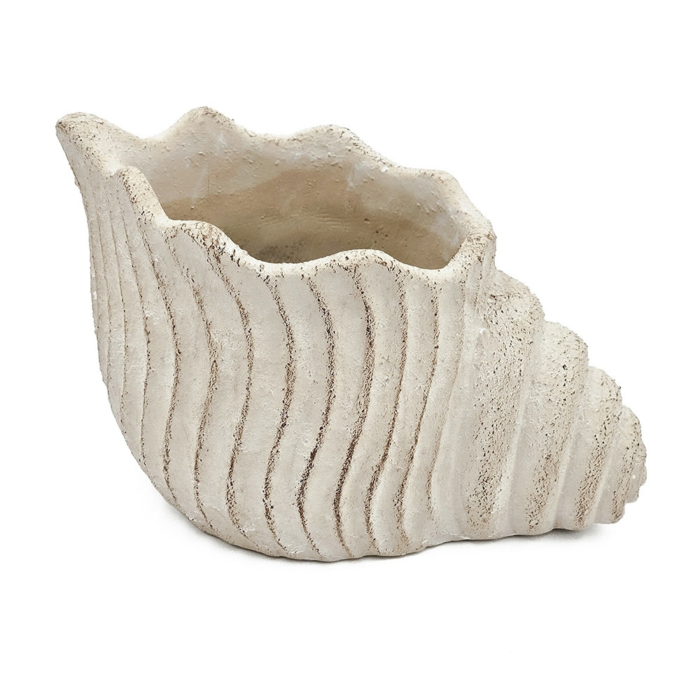 11.5x7x7' Sand and Cement Nautilus Shell Planter with Textured Beige Finish