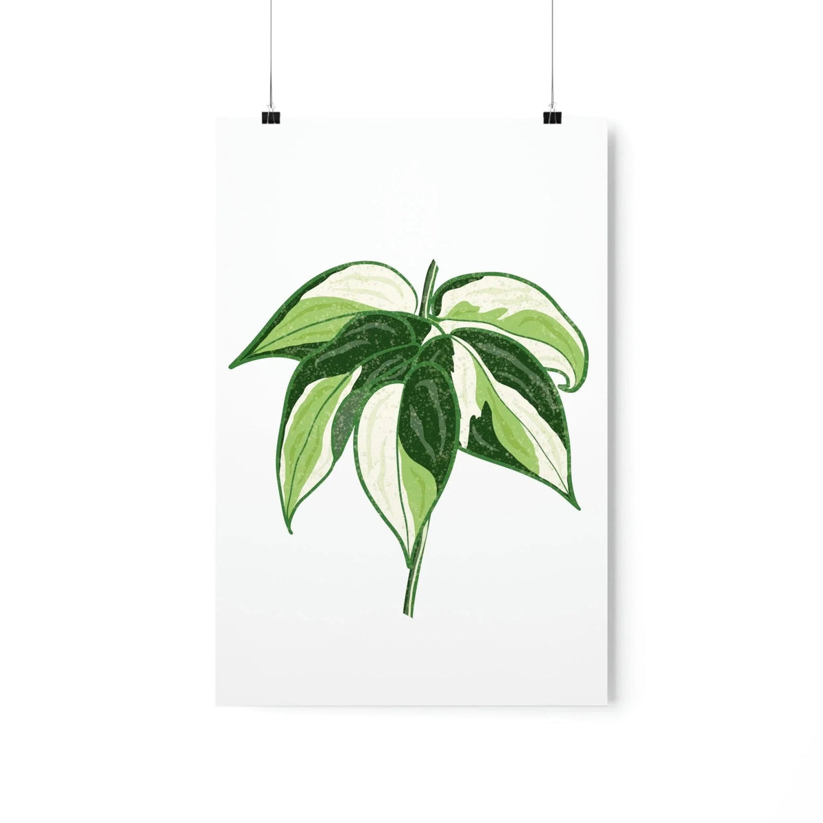 Philodendron Cream Splash Botanical Print – Unframed Wall Art