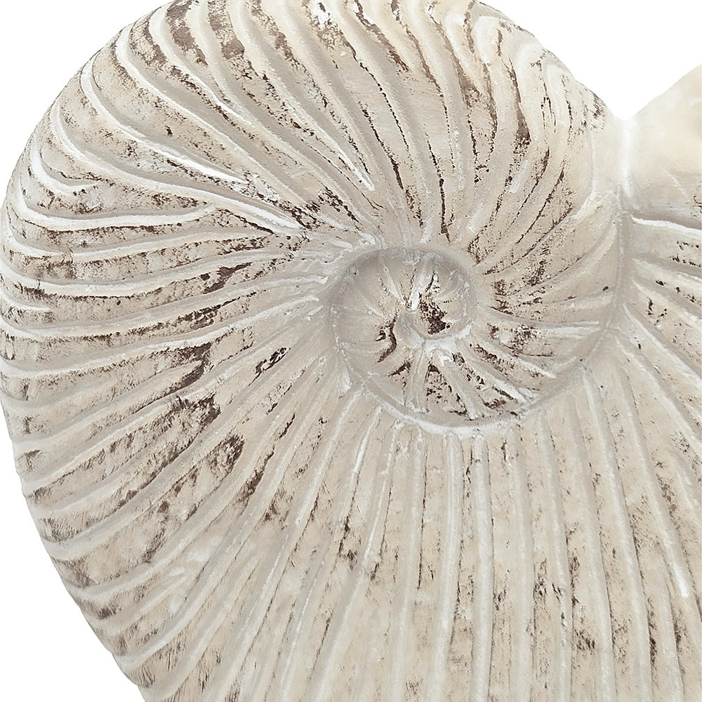 11.5x6.7x7.7" Sand and Cement Nautilus Shell Planter with Textured Beige Finish, view 8