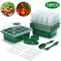 10Pcs Seed Starter Tray Kit Reusable Overall 120Cells Seeding Propagator Station Greenhouse Growing