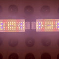 Full Spectrum Grow Lights Folding Model for Plant Growth, view 4