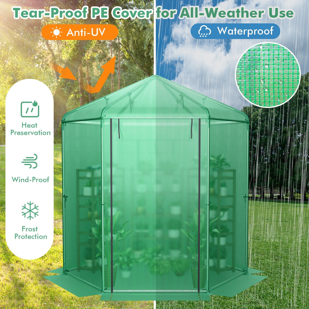 Walk-In Hexagonal Greenhouse with PE Cover and Metal Frame, view 6