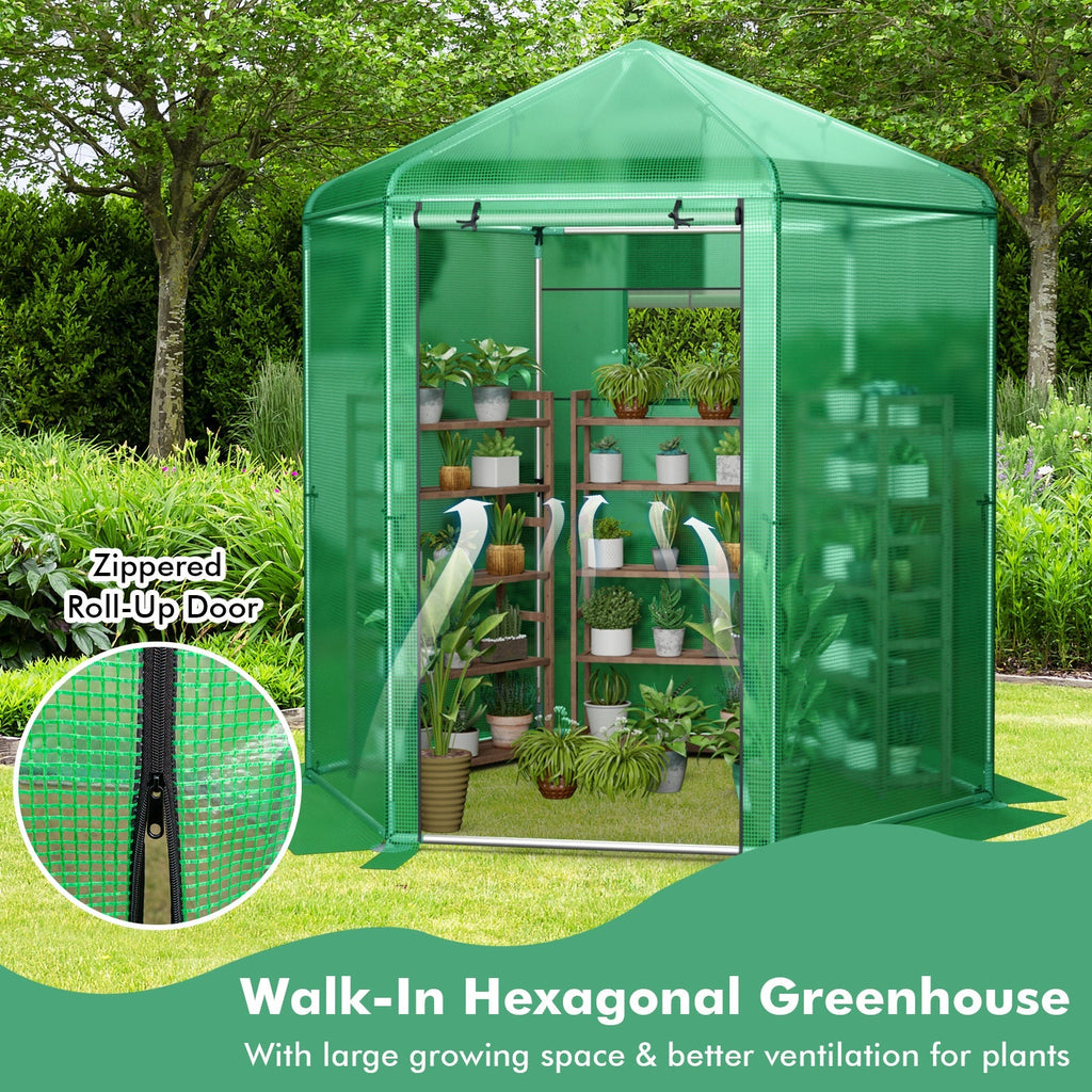 Walk-In Hexagonal Greenhouse with PE Cover and Metal Frame, view 8