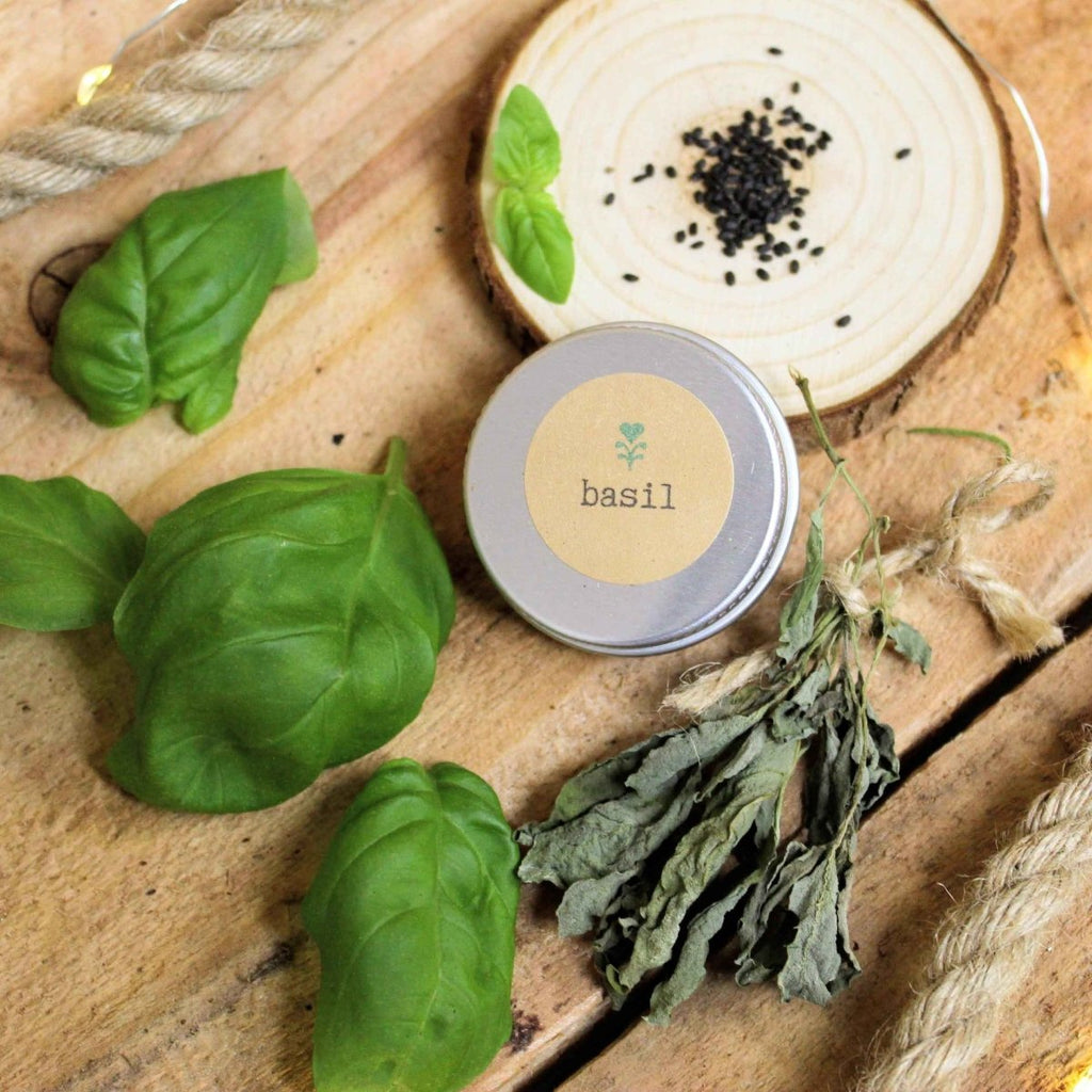 Grow a Basil Plant Seed Kit, view 4