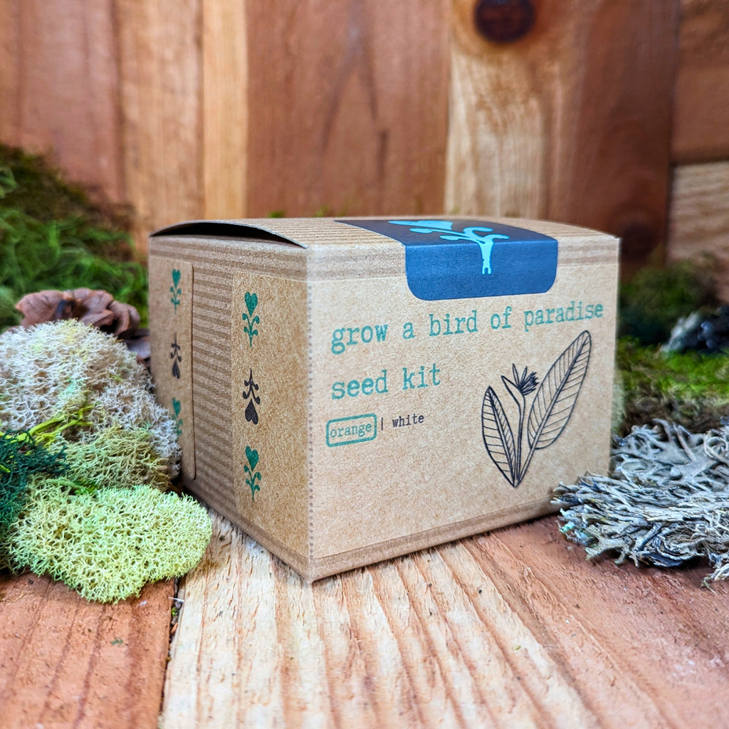 Grow a Bird of Paradise Plant Seed Kit, view 8