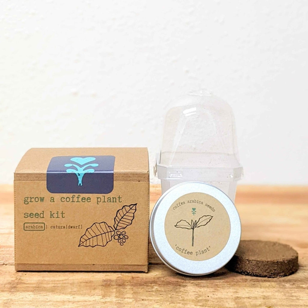 Grow a Coffee Plant Seed Kit, view 2