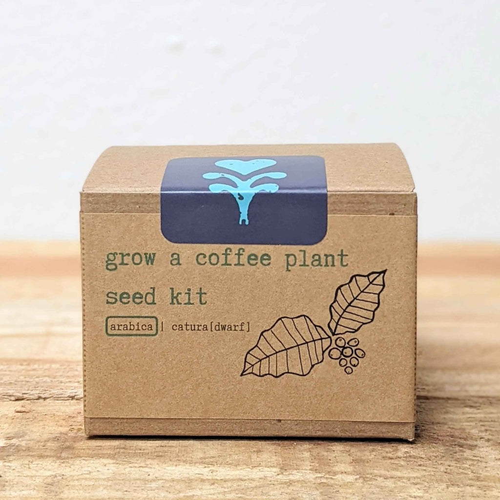 Grow a Coffee Plant Seed Kit, view 8