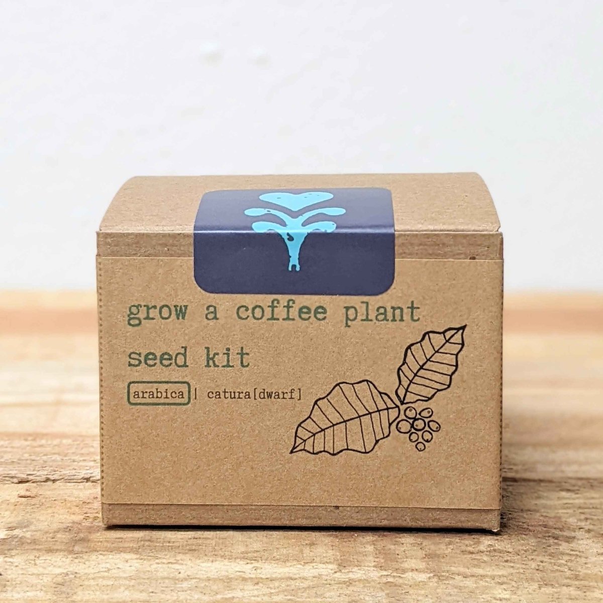 Grow a Coffee Plant Seed Kit, view 8