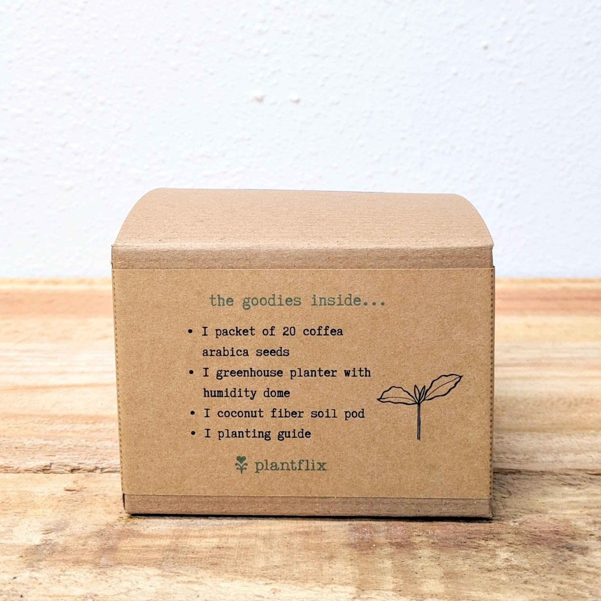 Grow a Coffee Plant Seed Kit, view 6