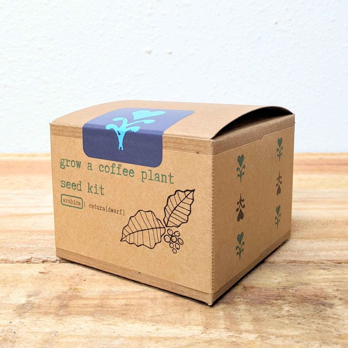 Grow a Coffee Plant Seed Kit, view 4